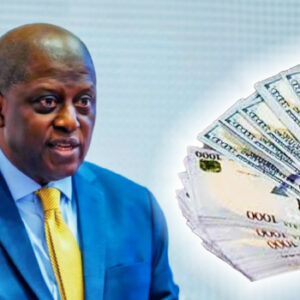 CBN FX Policy April 2025 Explained