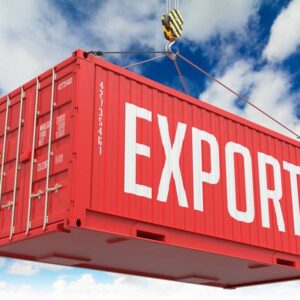 Export Process